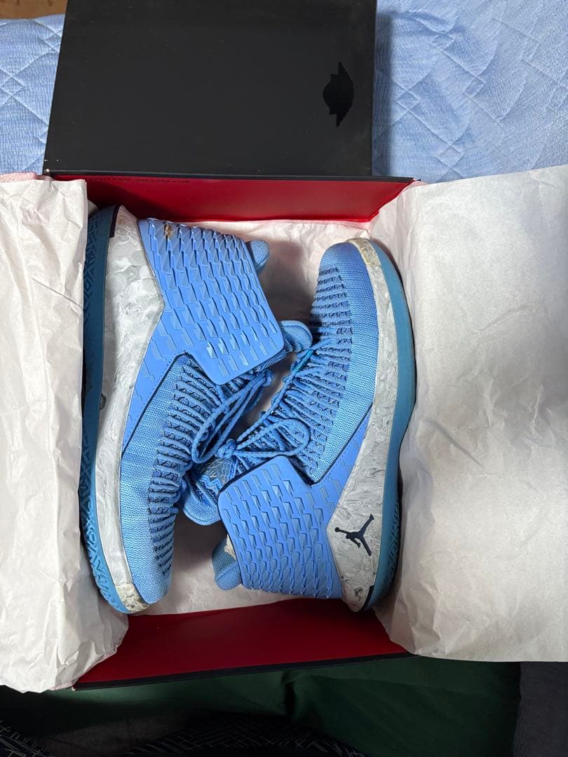 AIR JORDAN XXXII PF US10.5 28.5cmブルー