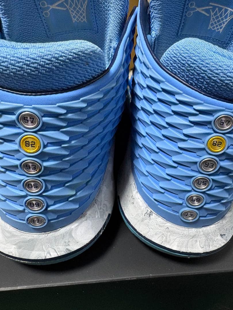 AIR JORDAN XXXII PF US10.5 28.5cmブルー