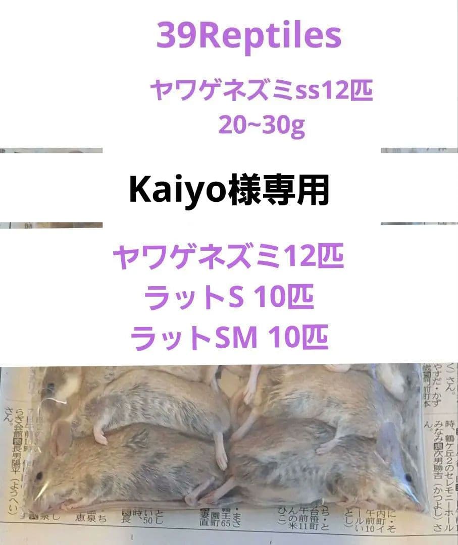 kaiyo冷凍ヤワゲネズミ12匹 ラットS 10匹 ラットSM 10匹