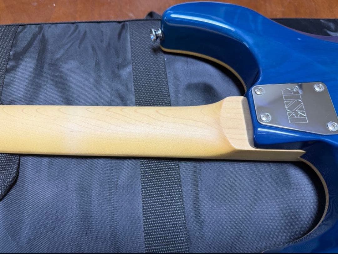 ギター Edwards E-SN-150FR