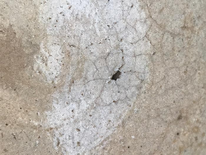 唐津　茶碗　共箱あり　茶道具　古物　中古　18.04.22-2