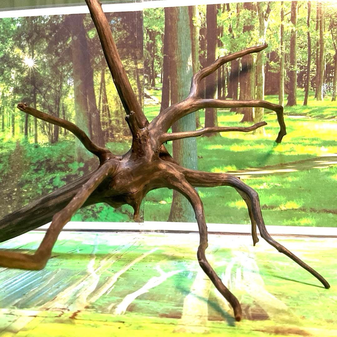 エムエー様 リクエスト 6点 まとめ商品