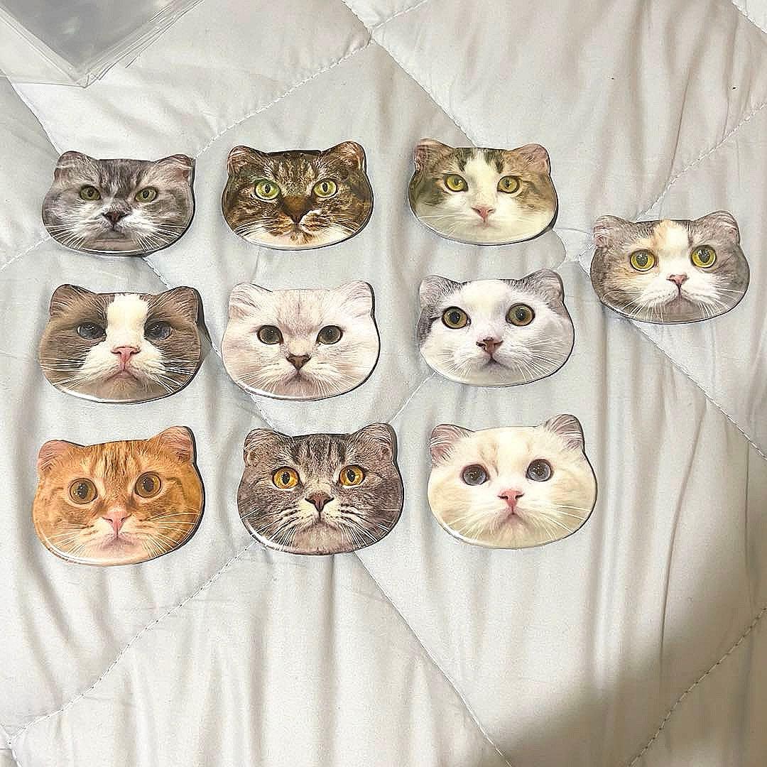 猫カフェmocha モカにゃんず猫型缶バッジ アルシェ大宮店