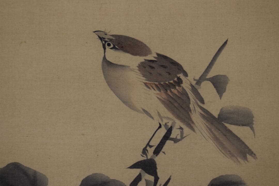 【真作】長谷川玉峰/青梅小禽図/青梅双雀図/掛軸☆宝船☆Y-736　JM