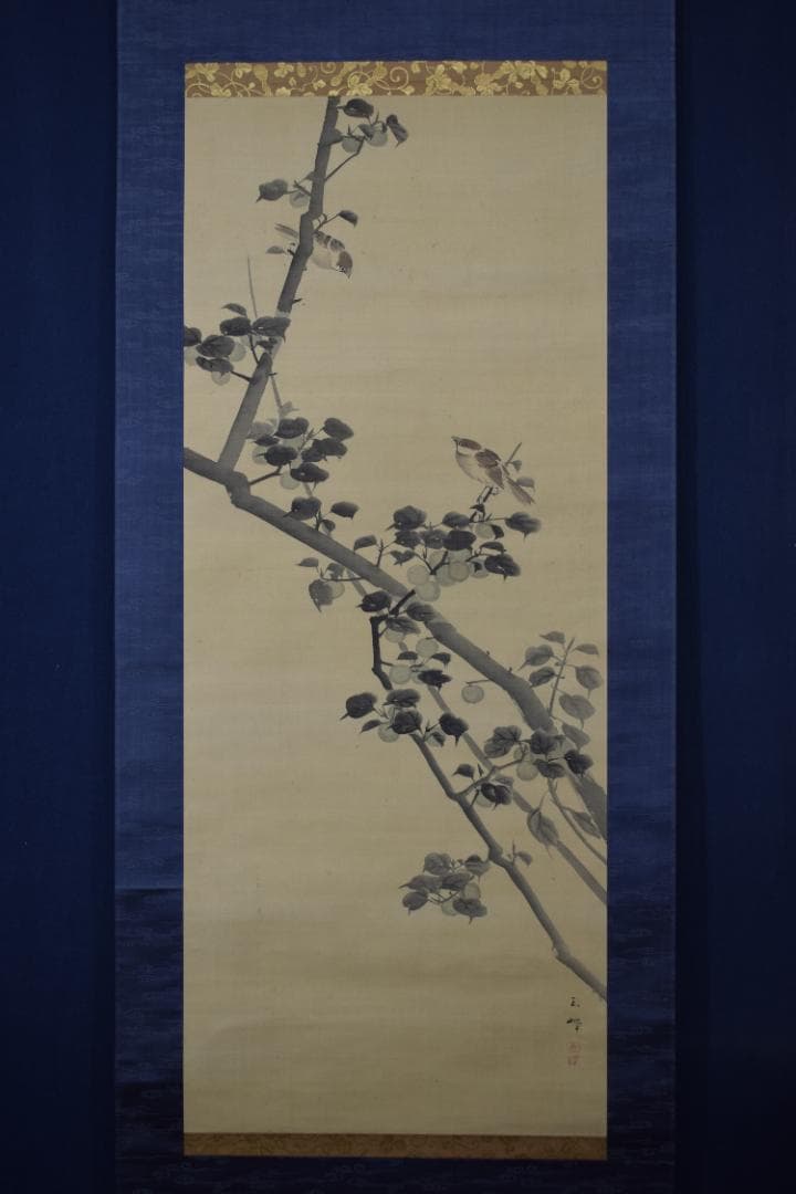 【真作】長谷川玉峰/青梅小禽図/青梅双雀図/掛軸☆宝船☆Y-736　JM