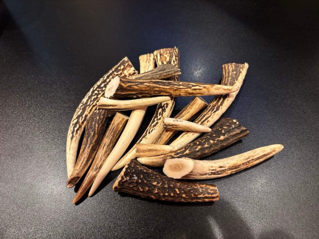 静岡下田の鹿の角14本　（愛犬のおもちゃ/ハンドクラフト素材）