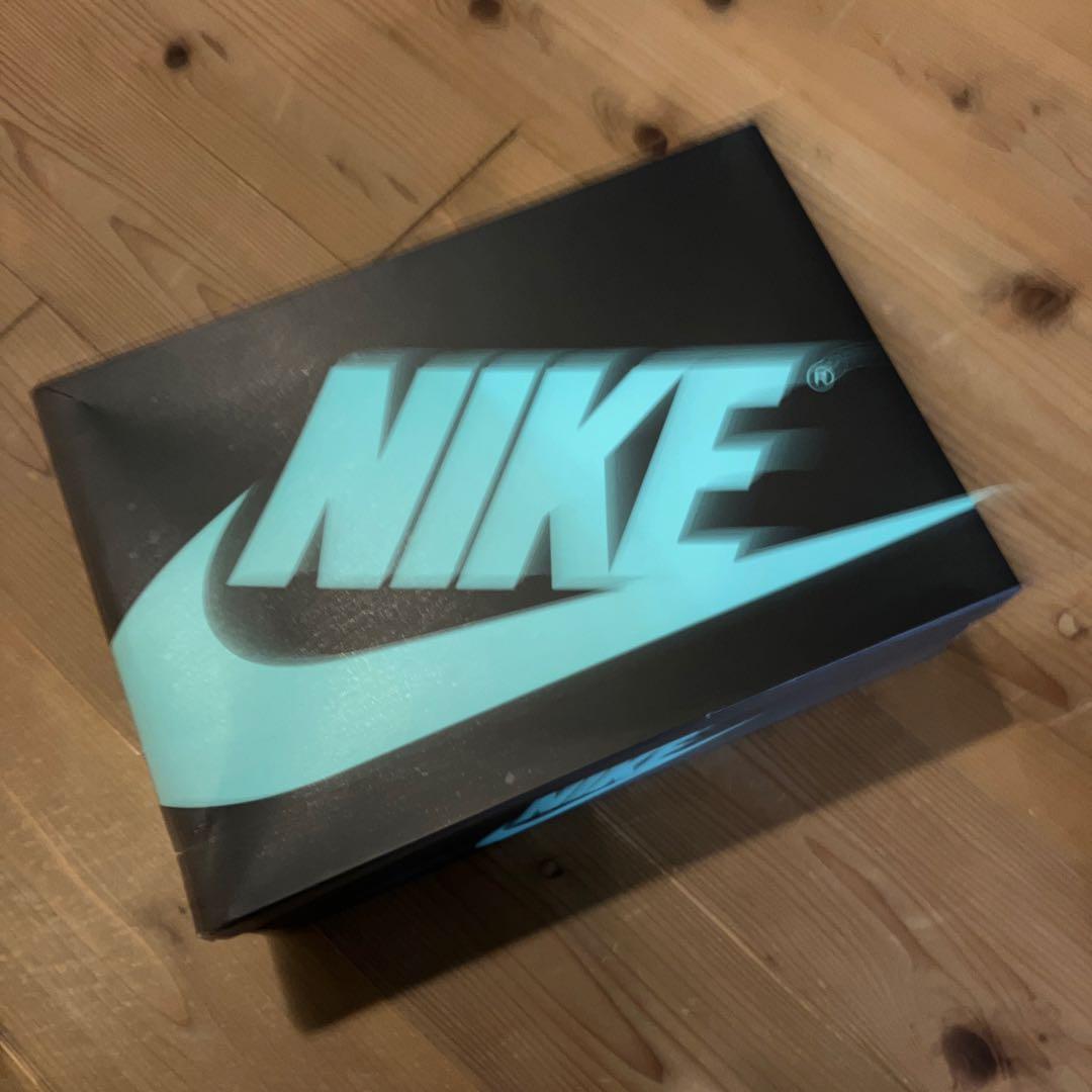 シューズ(男性用) AIR JORDAN 1 RETRO HI OG GREEN GLOW 29.0