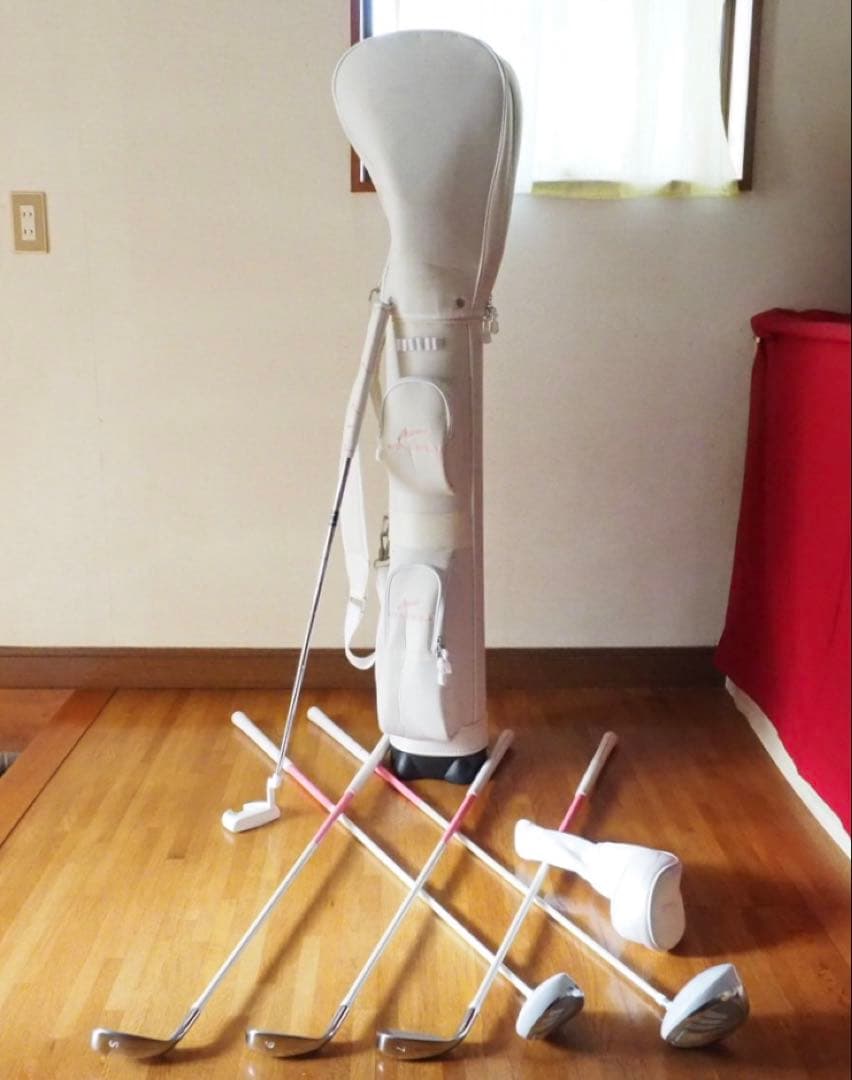 ワールドイーグル WE-101 レディース ゴルフ 6本セット L