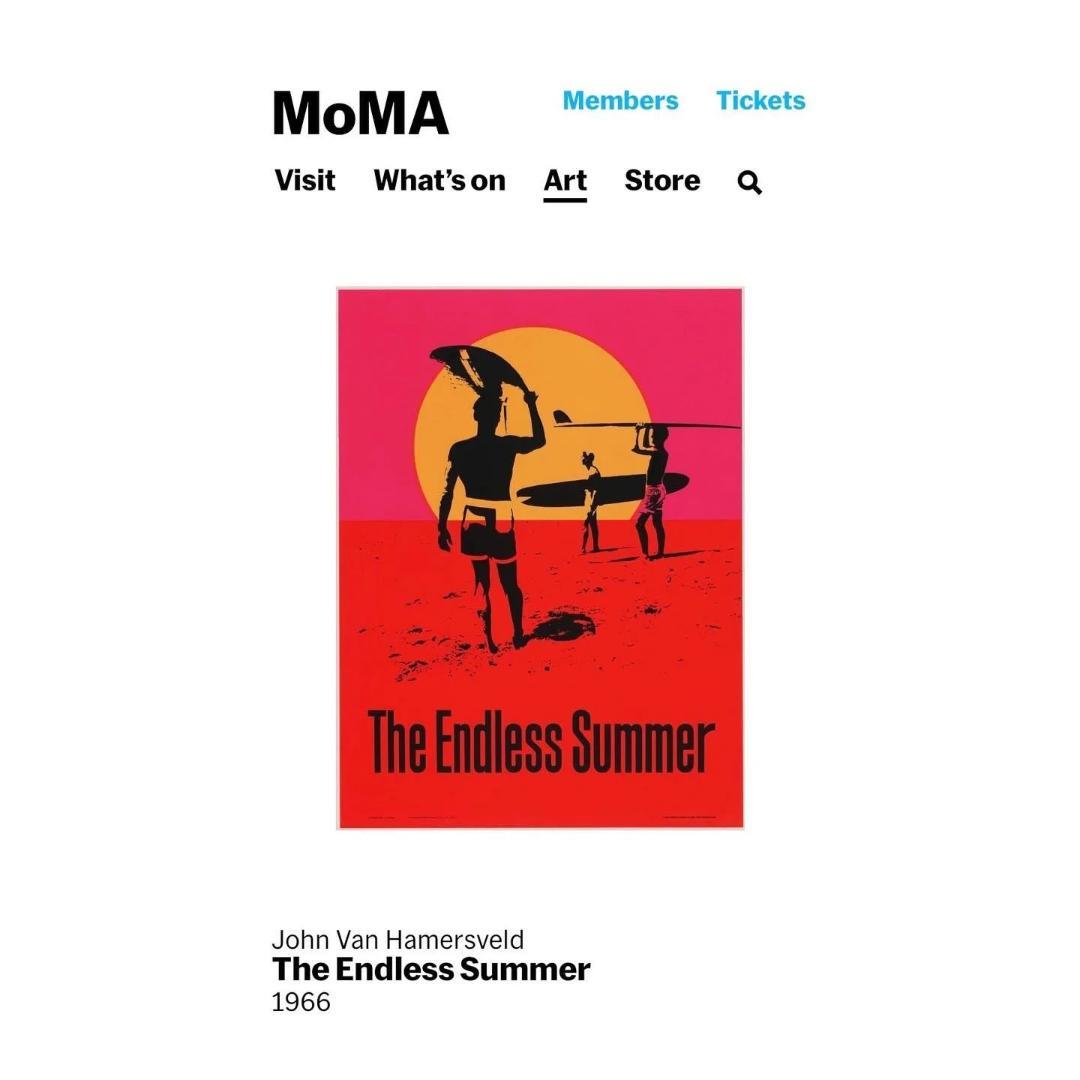 ザ・エンドレス・サマー XL TES Endless Summer XL