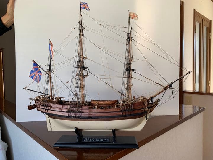 HMS BEAGLE イタリアマモリ社　木製　帆船　模型