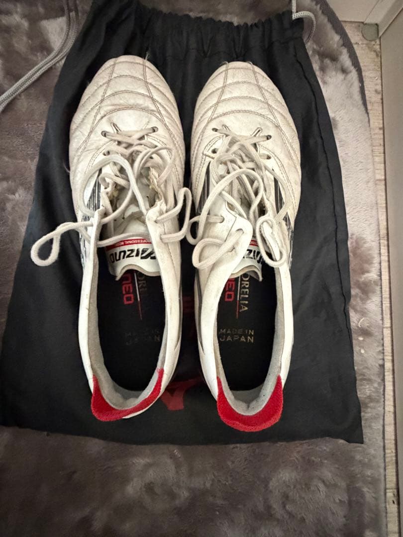 Mizuno モレリアネオ4