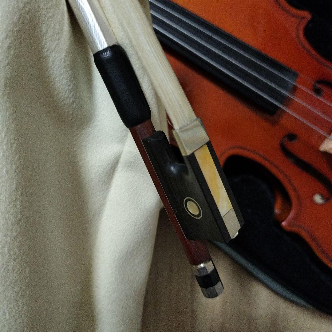 【小物付き】カルロジョルダーノ バイオリン VS-1C 1/8 みずいろケース