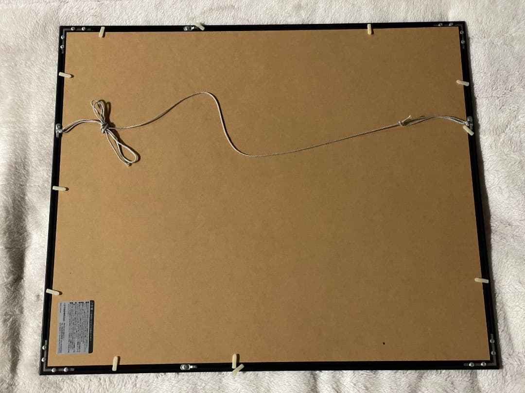 レディーガガ　額装写真　2012年　埼玉アリーナにて撮影　①