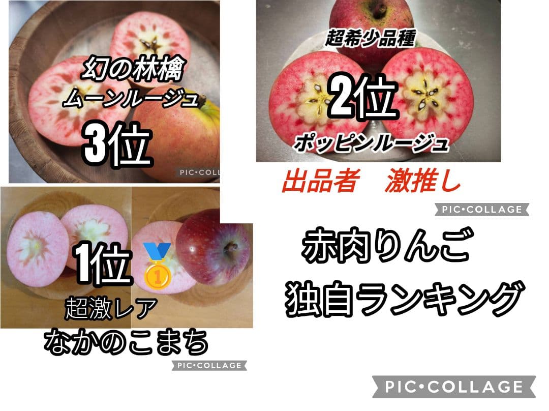 出品者激推し 赤肉りんごランキング上位セレクト　5キロ