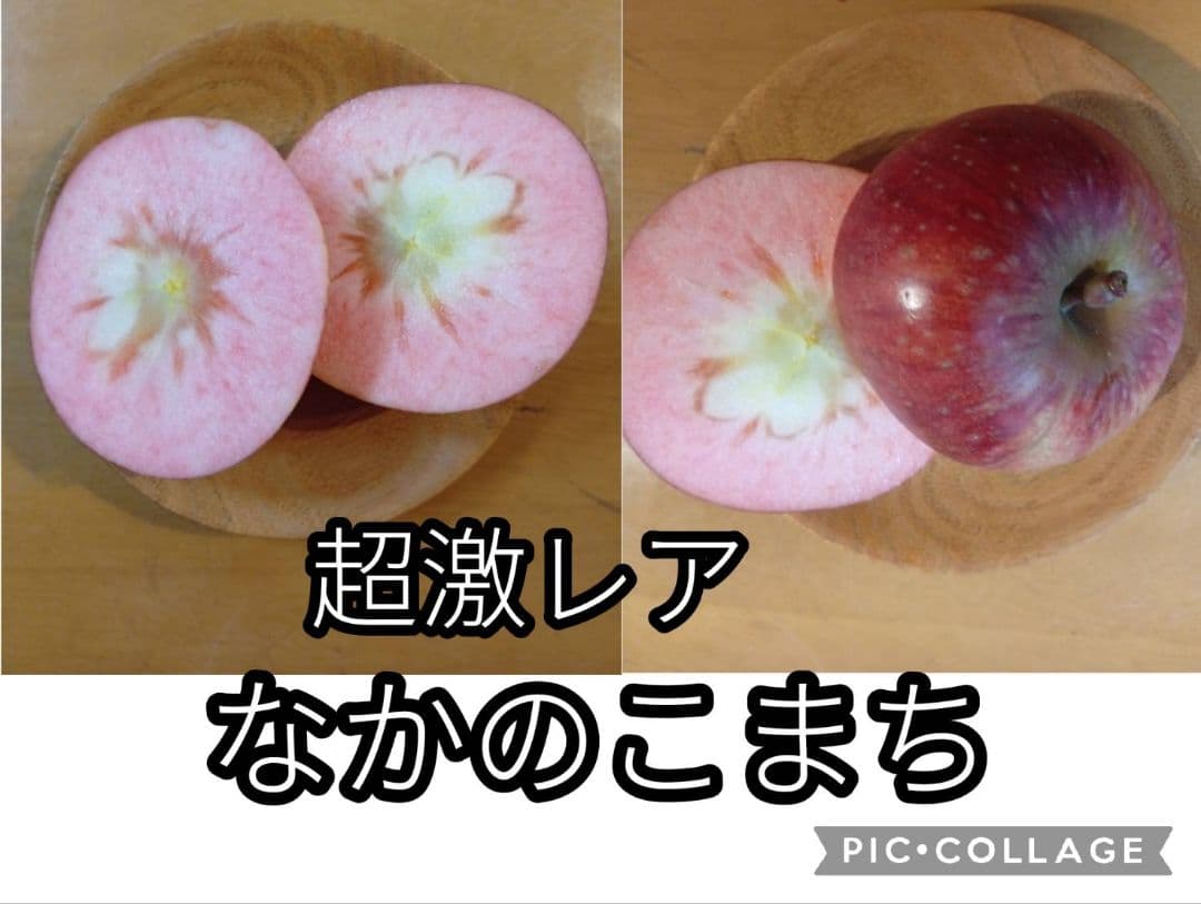 出品者激推し 赤肉りんごランキング上位セレクト　5キロ