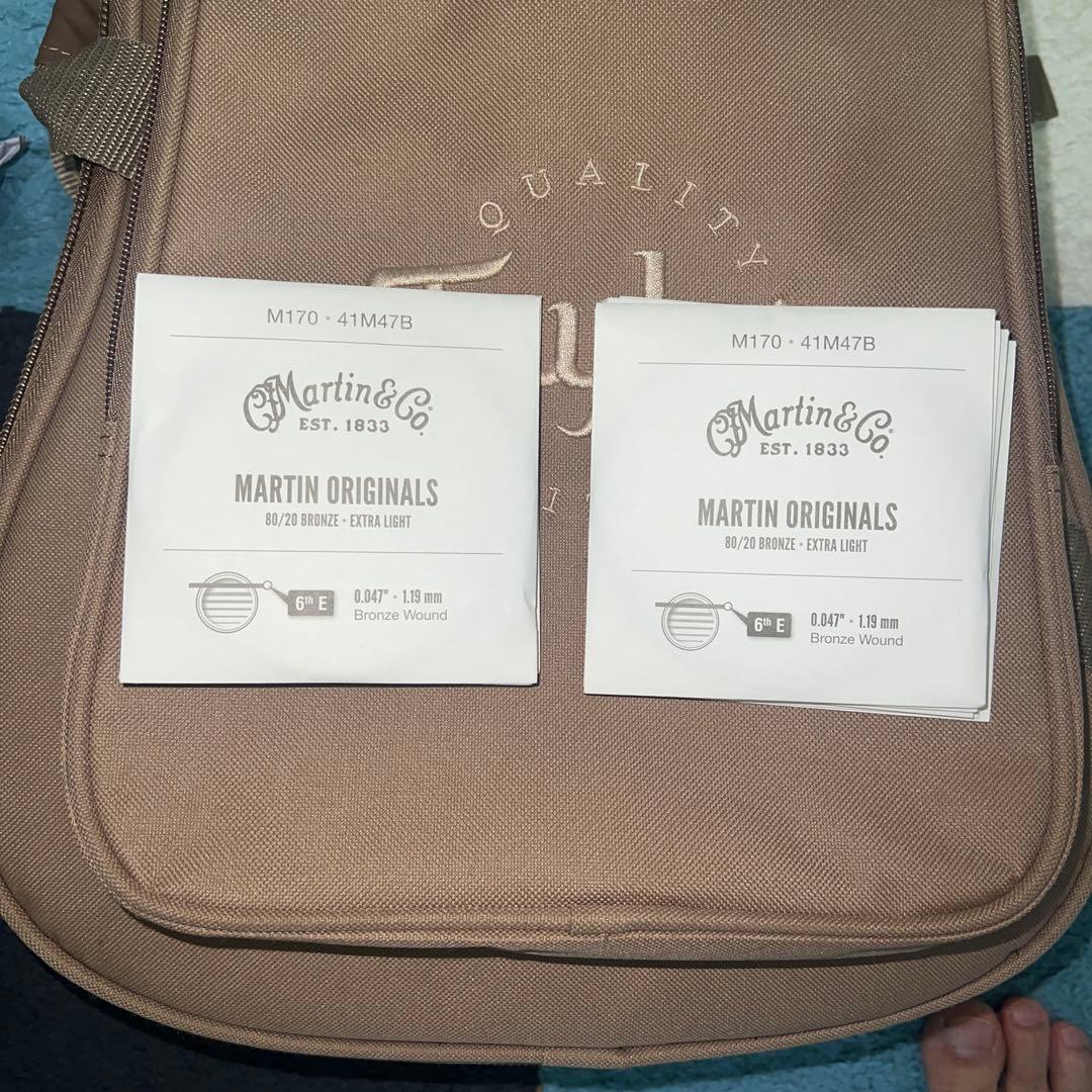 Taylor ベビーテイラー マホガニー MAHOGANY BT2　ミニギター