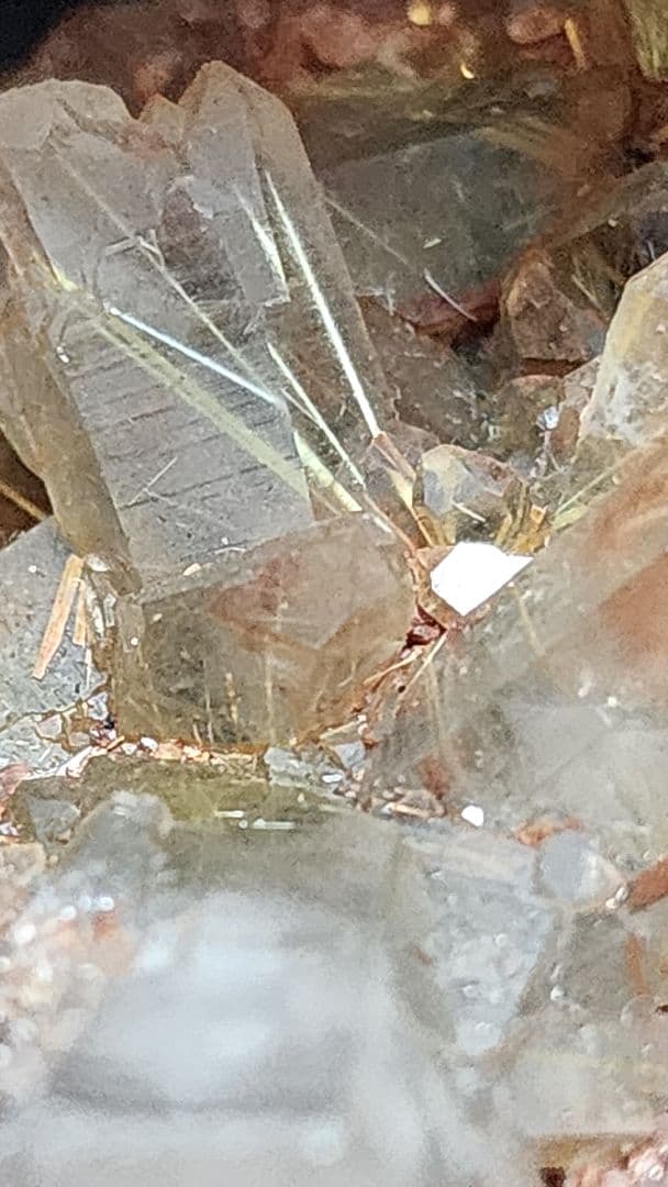 金色のルチルチタンクォーツクラスター