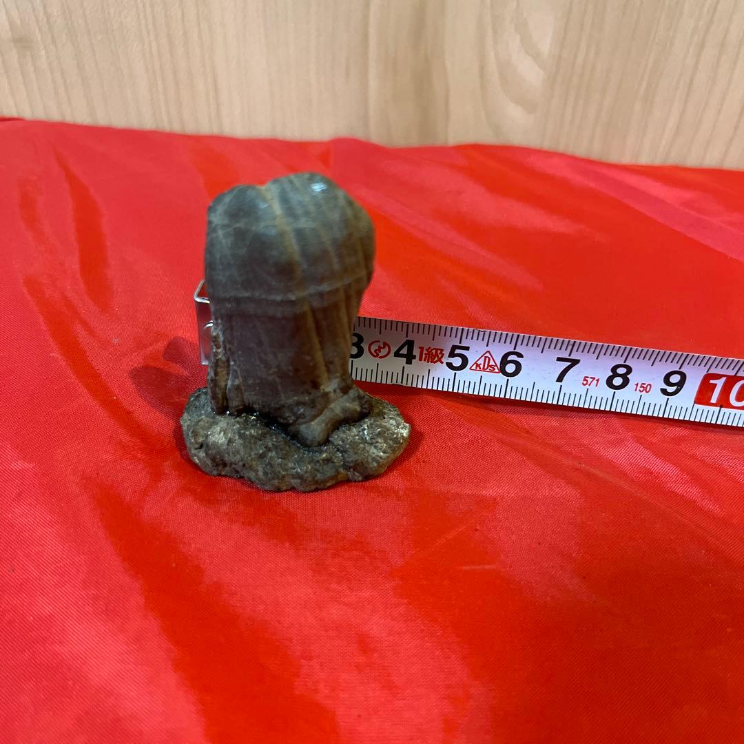 【和歌山古谷石3点セット】自然石 盆石　鑑賞石　置物　天然石