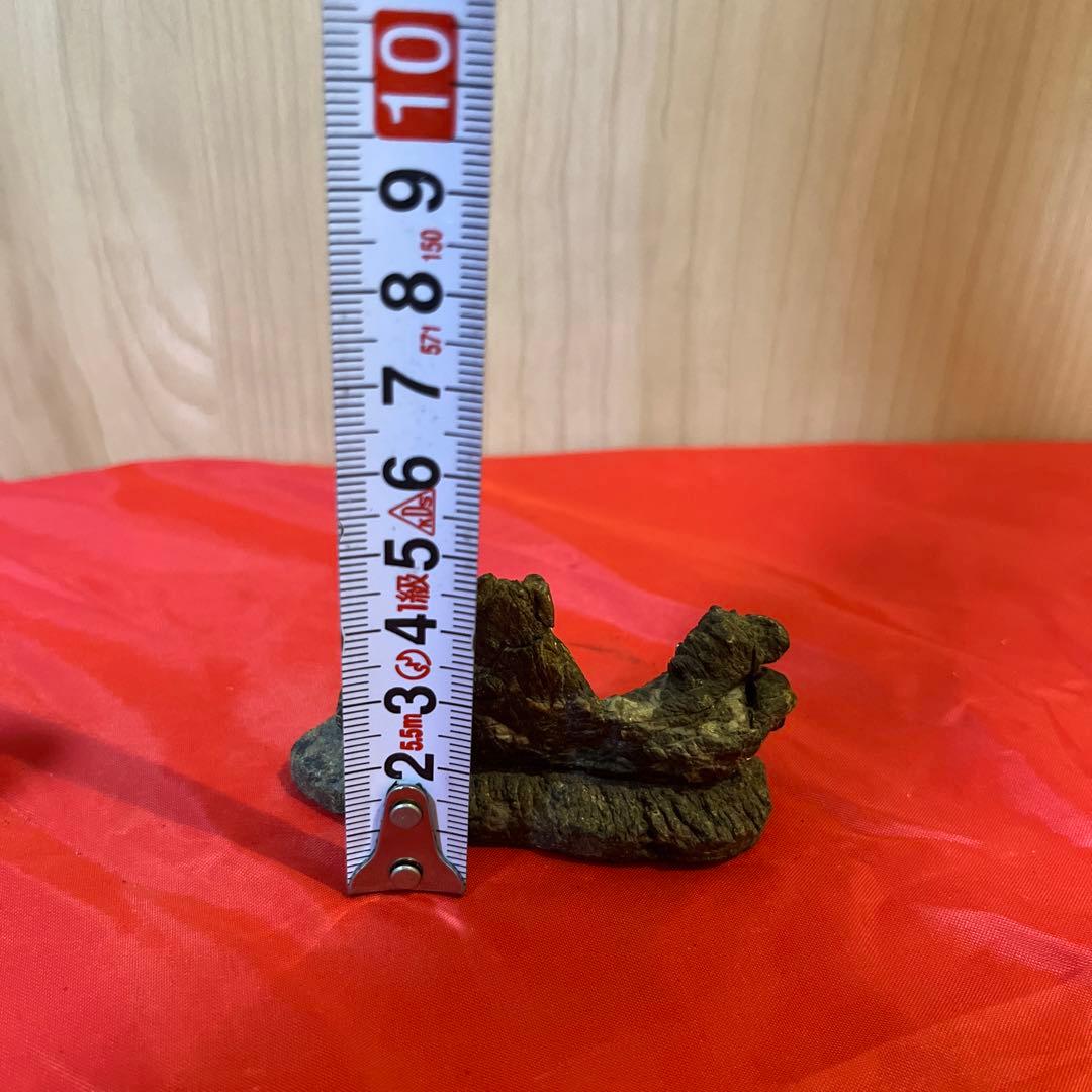 【和歌山古谷石3点セット】自然石 盆石　鑑賞石　置物　天然石