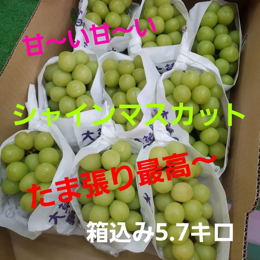 7️⃣7️⃣ 山梨県産 シャインマスカット 箱込み5.7キロ