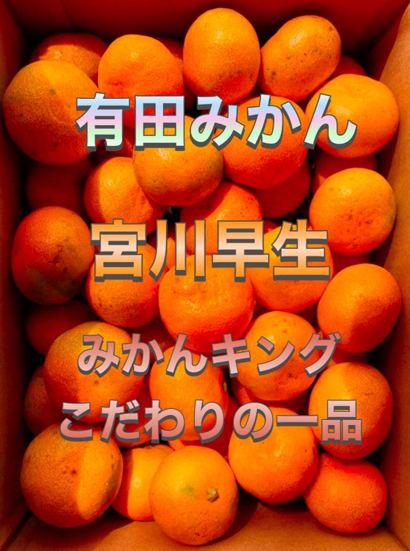 専用出品　レイトン様　5kg