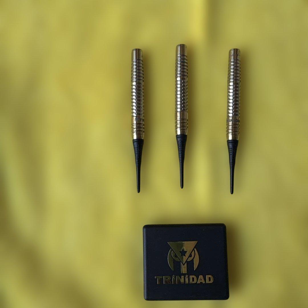 TRINIDAD Undisputed RICARDO ダーツセット。