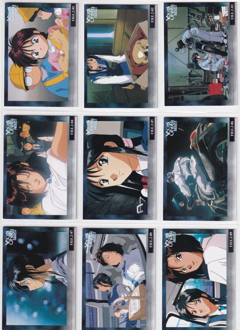 逮捕しちゃうぞ トレーディングカード 藤島康介 全種類フルコンプ