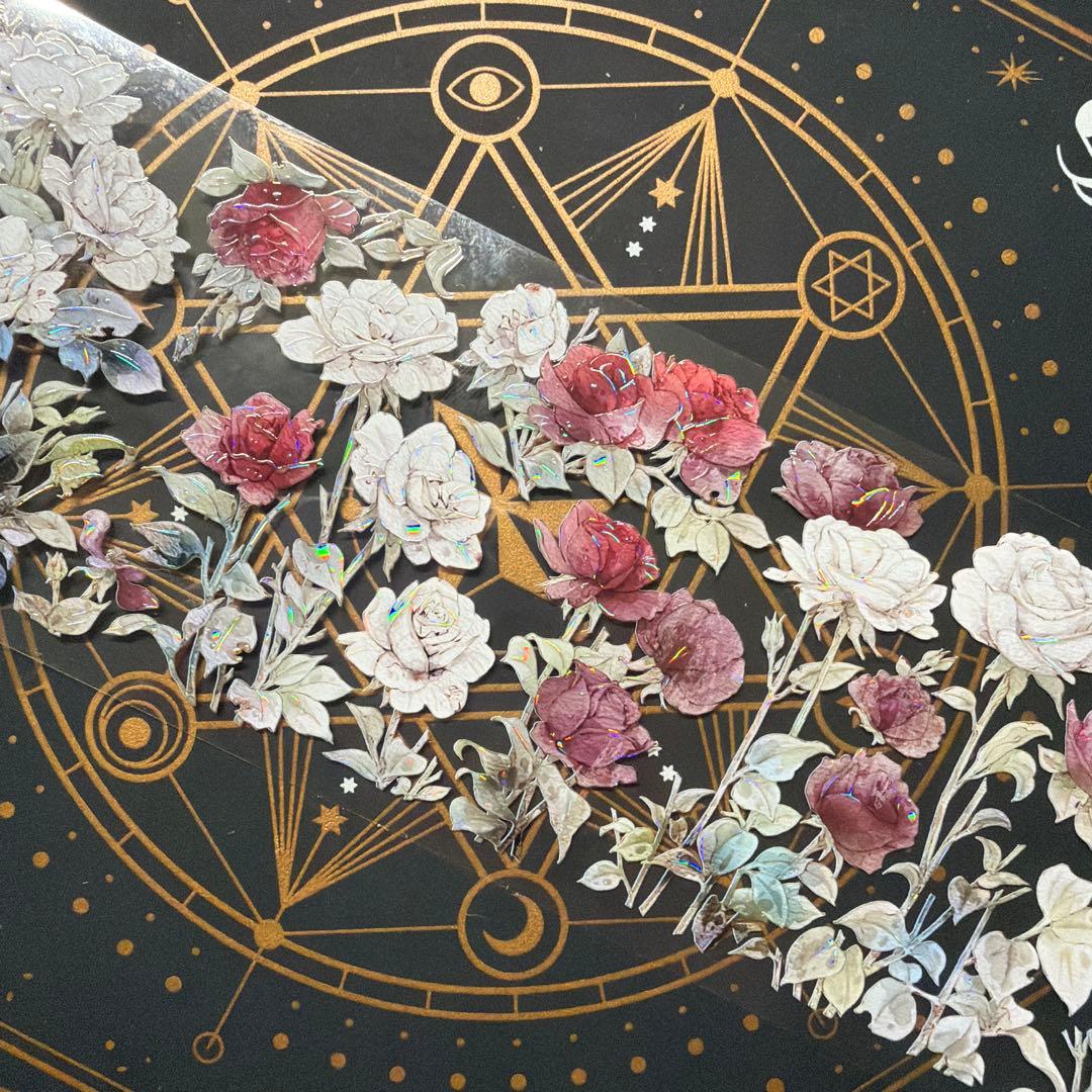 【8949】海外　マステ　中古巻　貝殻光マスキングテープ