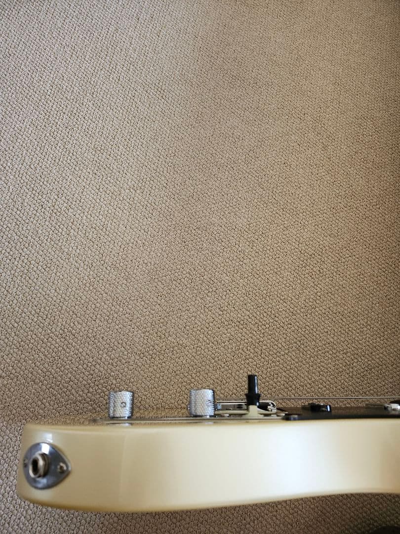 Momose カスタムオーダー テレキャスター ナッシュビル