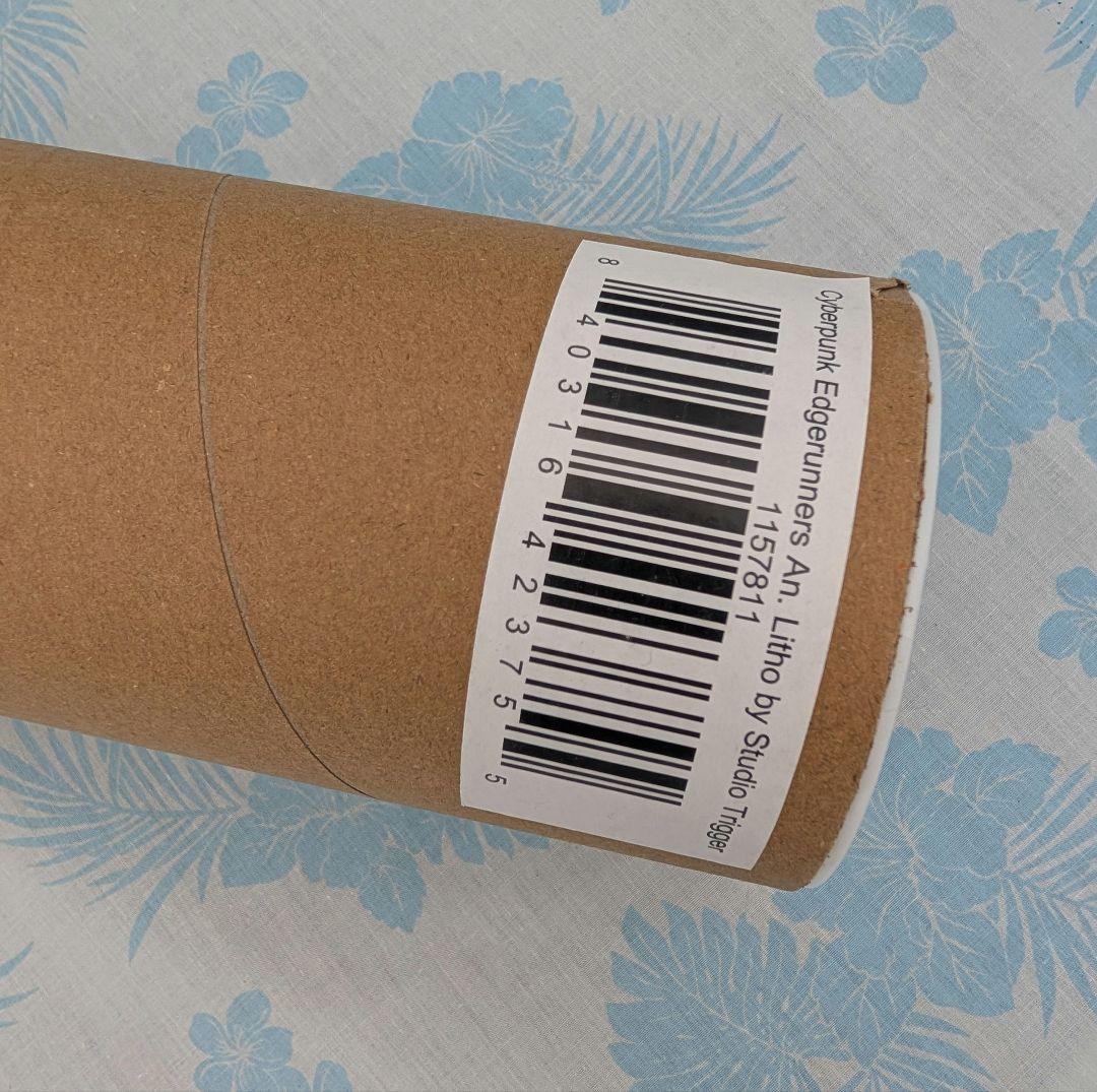 CYBERPUNK EDGERUNNERS 36×20インチ ポスター