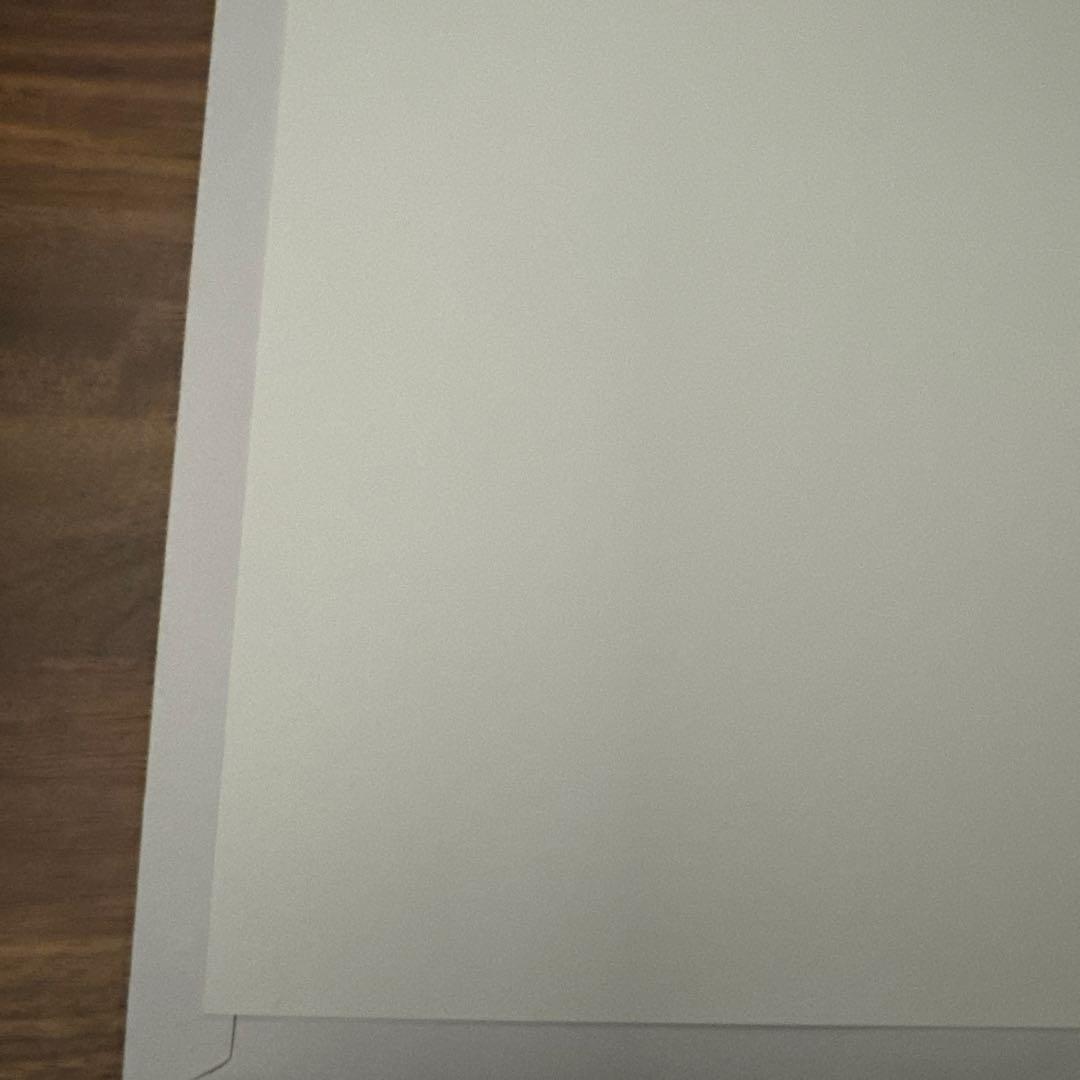 SWCJ 公式浮世絵ポスター ソル カイミール【新品、未使用】