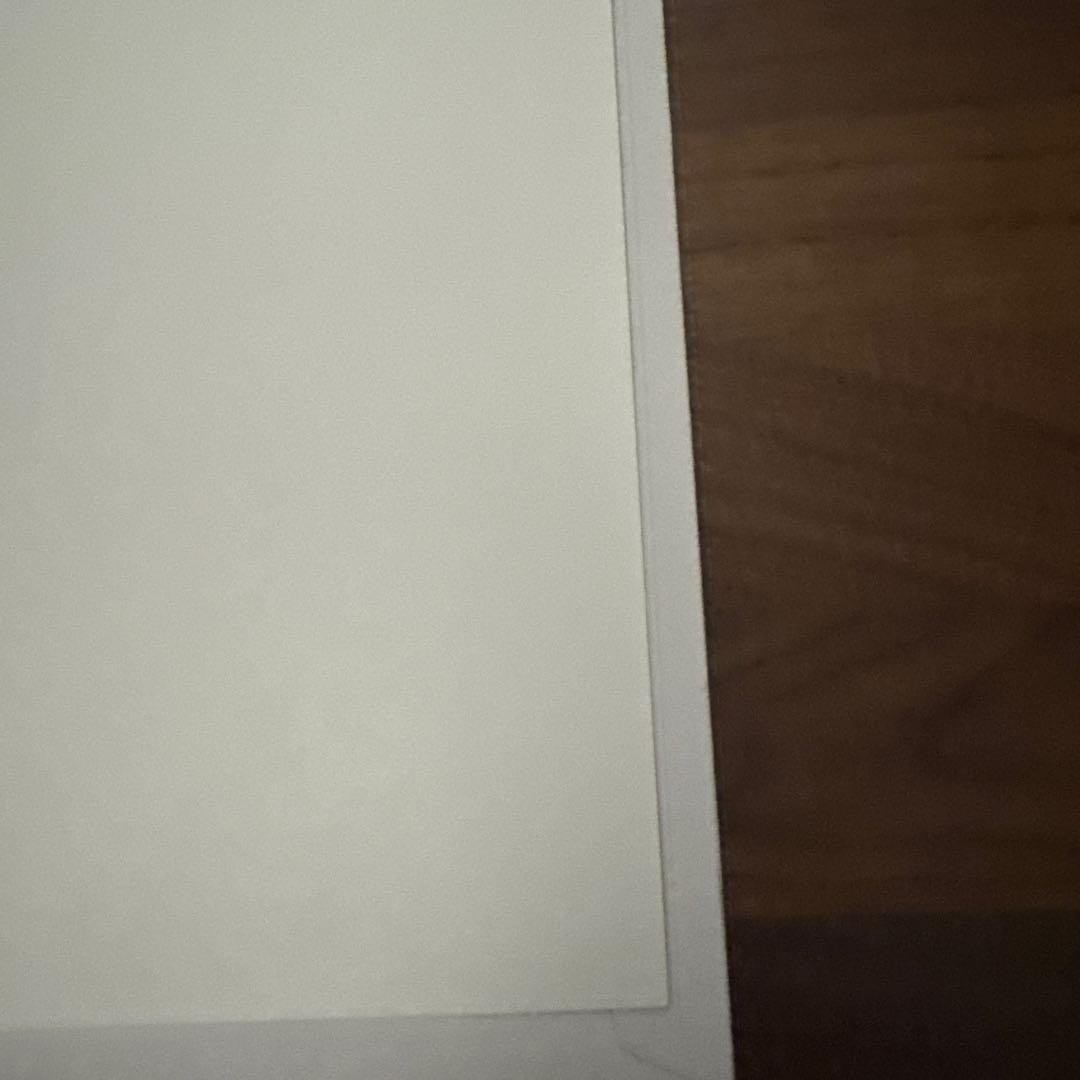 SWCJ 公式浮世絵ポスター ソル カイミール【新品、未使用】