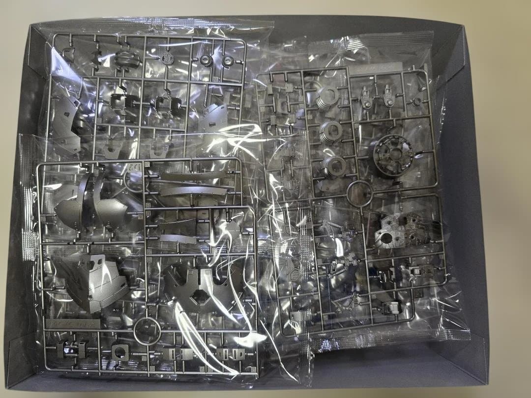 RG プレバン限定 ジオング (スペシャルコーティング)