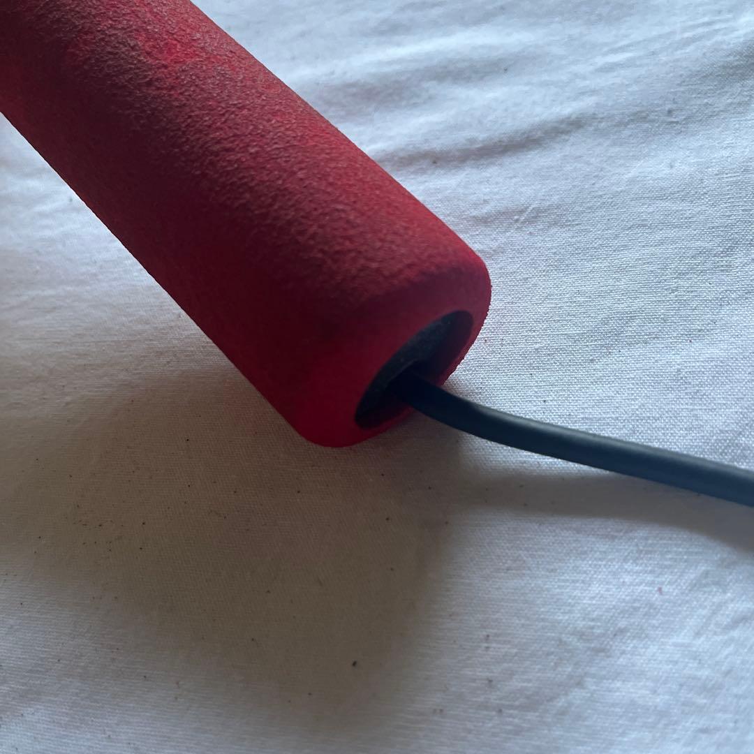 sound discovery SONY MDR-Z900HD 片耳ヘッドフォン