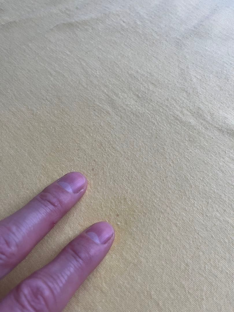 北尾光司　プロレス　Tシャツ 90s ビンテージ　シングルステッチ　横綱