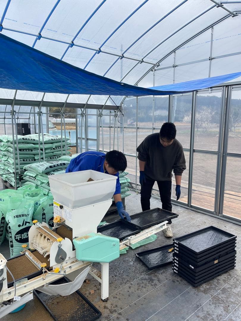 ♡最終♡令和7年千葉県いすみ市産コシヒカリ 25kg白米　無洗米　天皇献上米