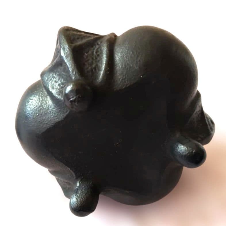 ✨レア✨【美品】岩鋳　一富士二鷹三茄子　南部鉄器　秀作？　一度使用