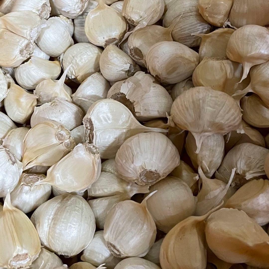 青森県産 ホワイト六片 ニンニク にんにく バラ 10kg