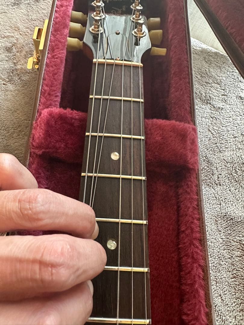 Gibson Les Paul Special P100 ハードケース