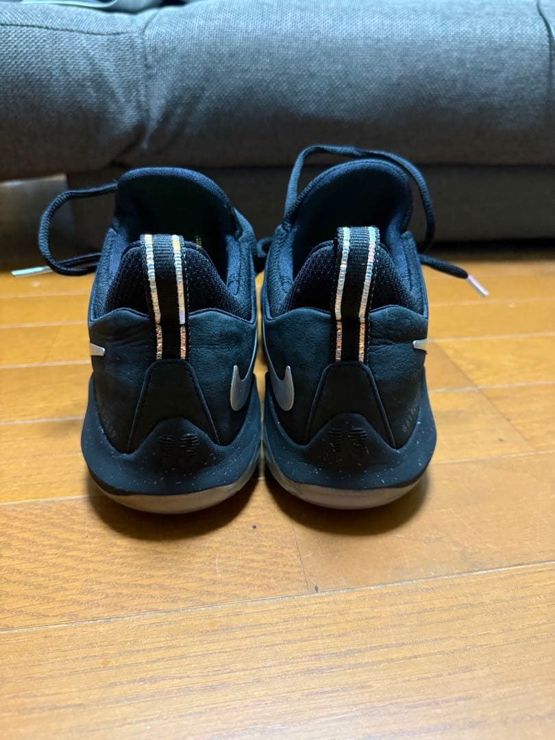 シューズ(男性用) Nike PG1 SHINING 27.0