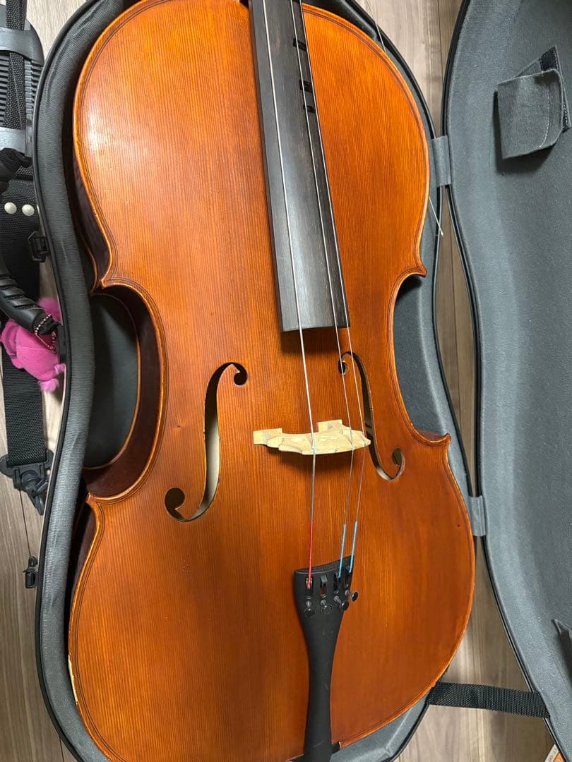 Gliga gems チェロ　4/4 2012年製 、ケース・弓・ブラックホール