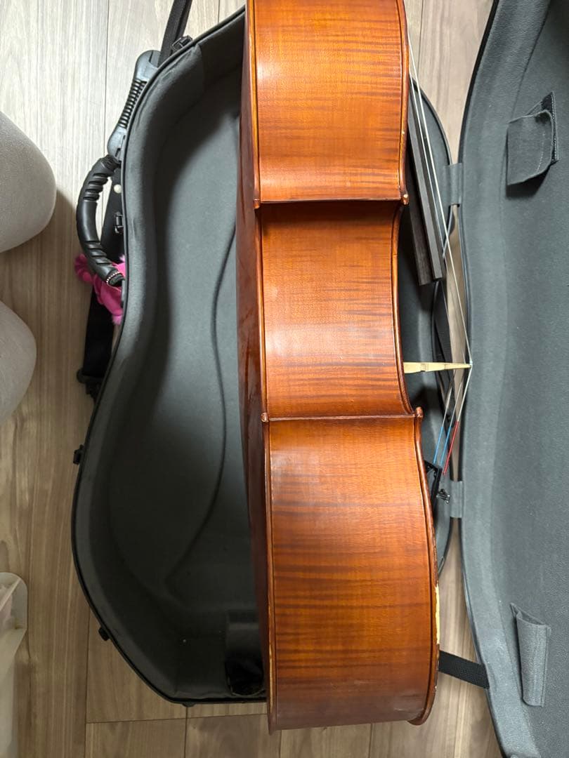 Gliga gems チェロ　4/4 2012年製 、ケース・弓・ブラックホール