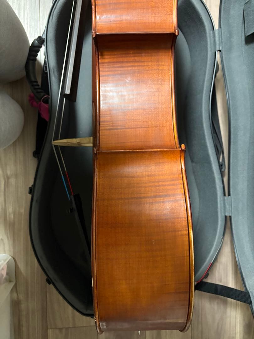 Gliga gems チェロ　4/4 2012年製 、ケース・弓・ブラックホール