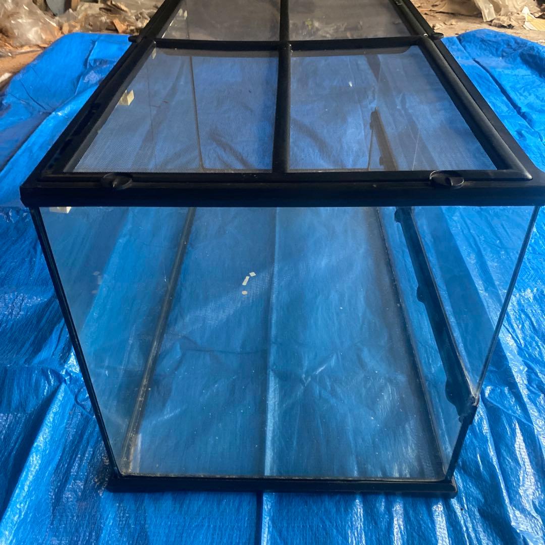 GEX エキゾテラ グラステラリウム 6030