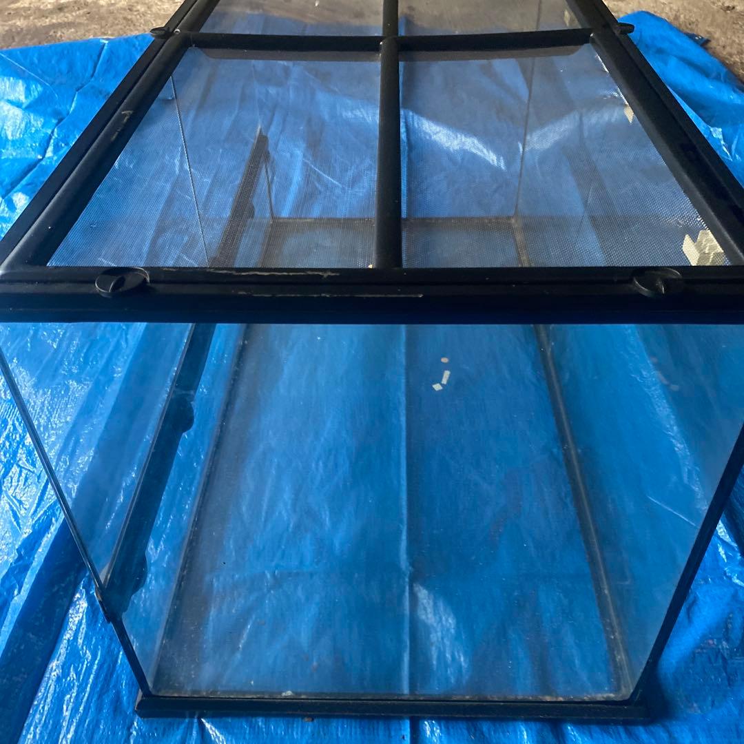 GEX エキゾテラ グラステラリウム 6030