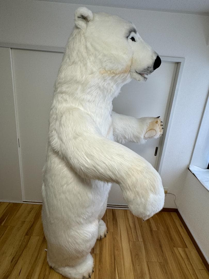 シュタイフ スタジオシリーズ ポーラベア 195cm EAN50161 希少特大