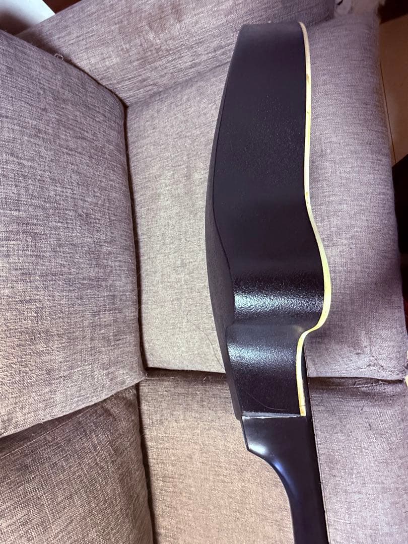 Don-Jon アコースティックギター 青