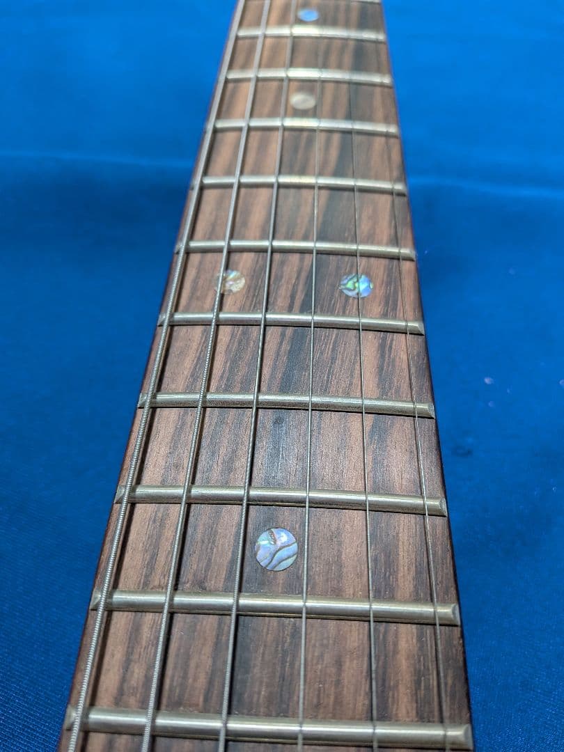 Aria Pro II 714-AE200ssPVギター ソフトケース付き