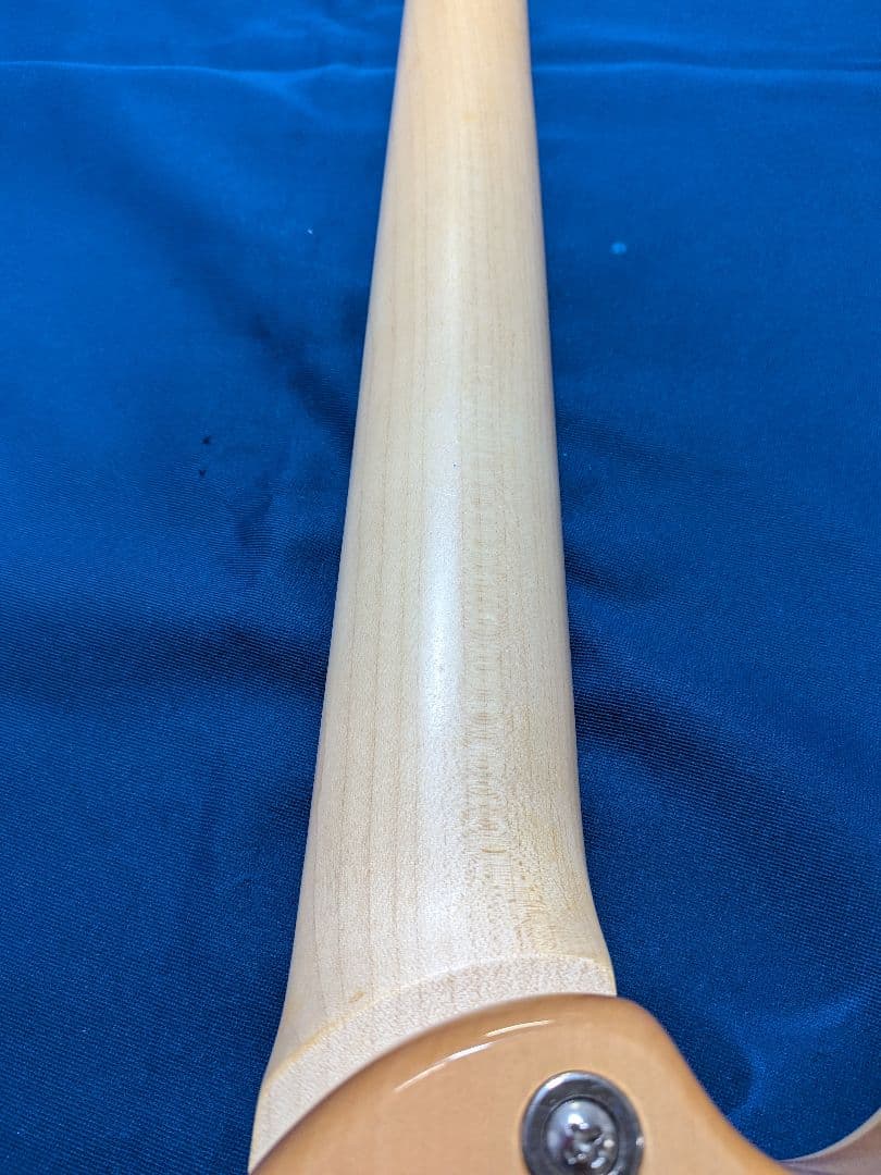 Aria Pro II 714-AE200ssPVギター ソフトケース付き