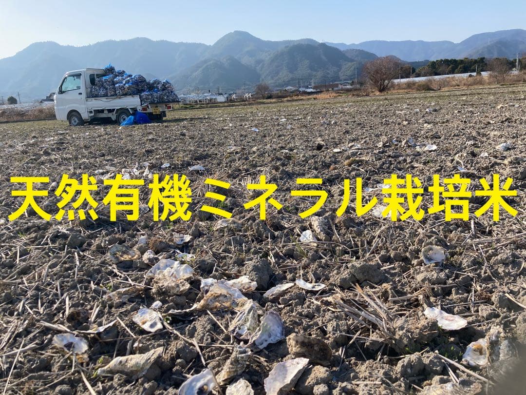 令和7年産 コシヒカリ 天然有機ミネラル栽培米　玄米11kg 精米全国送料込